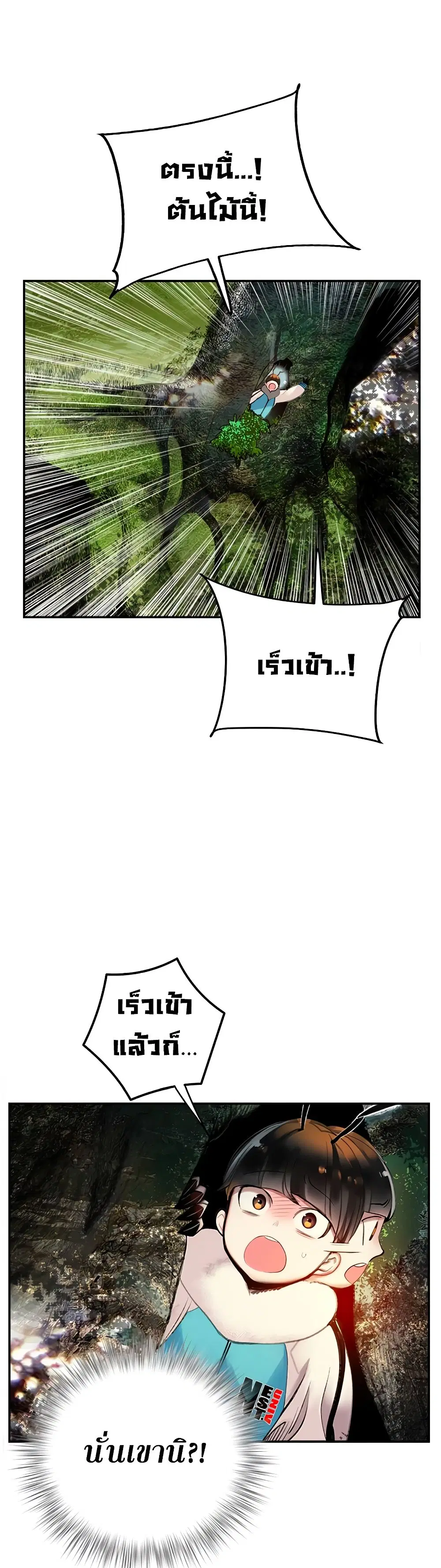 หน้า 43 จาก 62
