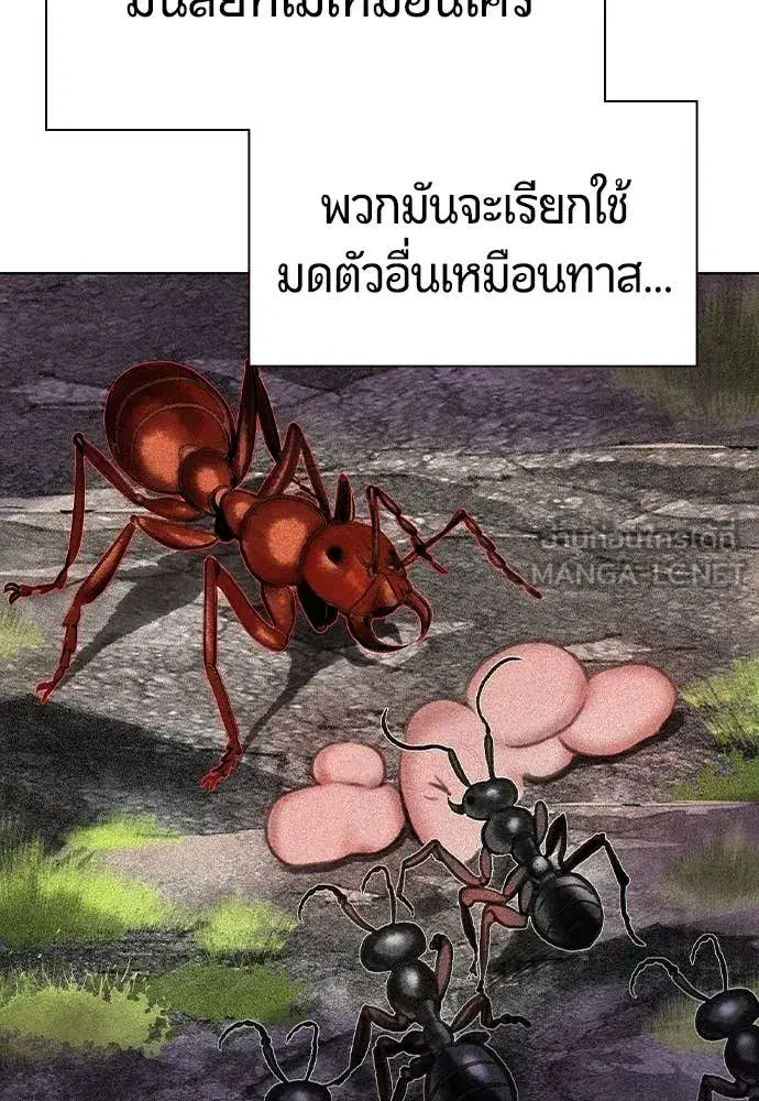 หน้า 107 จาก 191