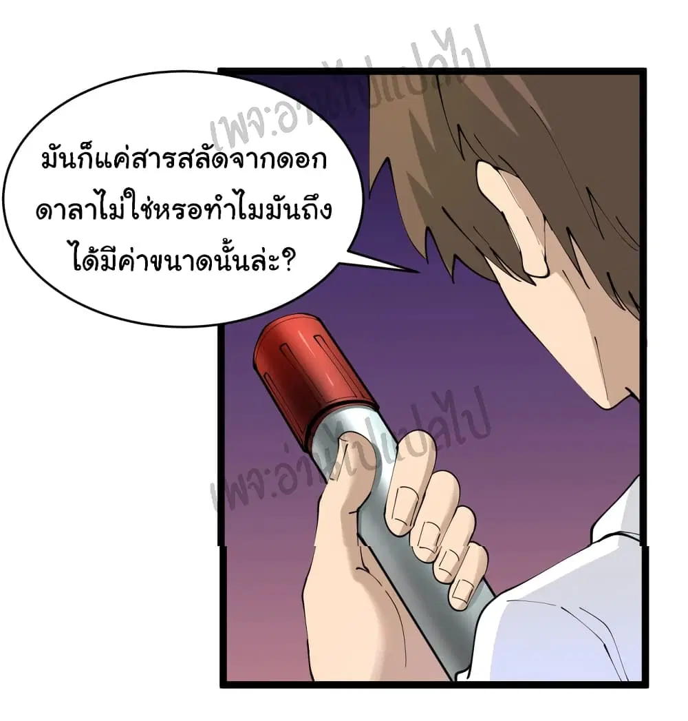 หน้า 24 จาก 29