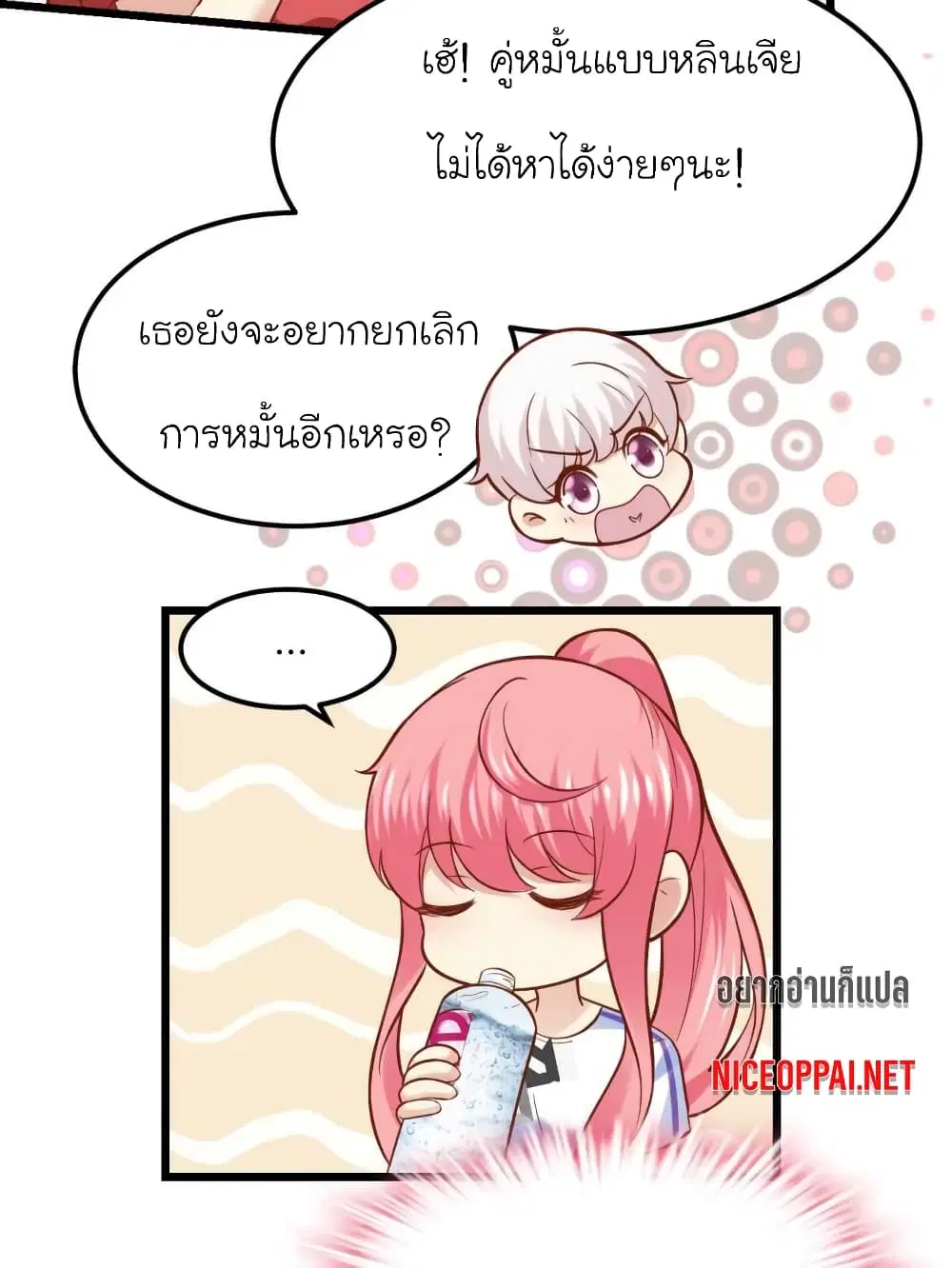 หน้า 31 จาก 43
