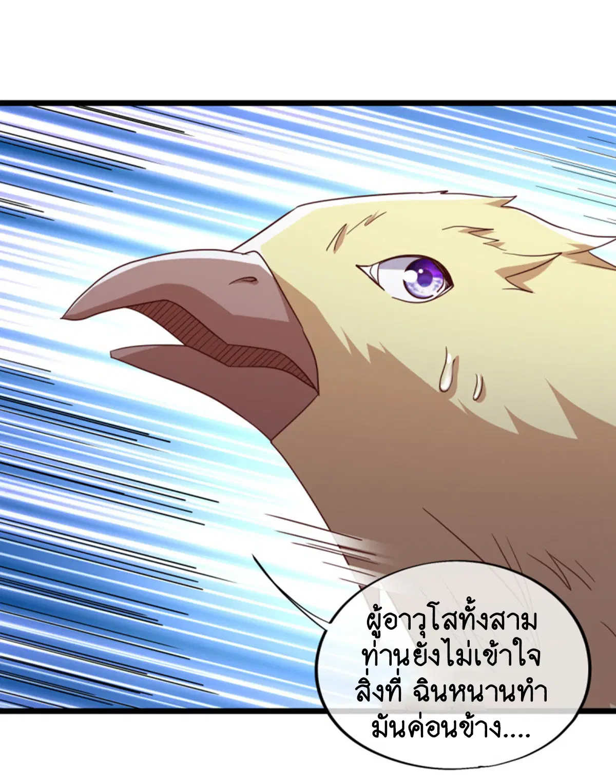 หน้า 5 จาก 50