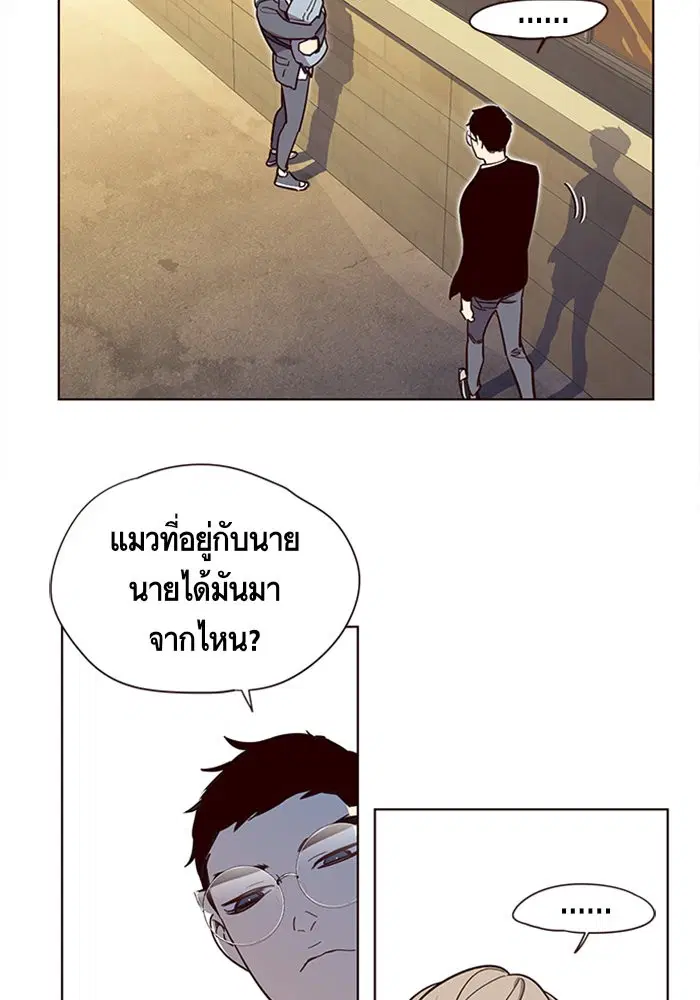หน้า 49 จาก 111