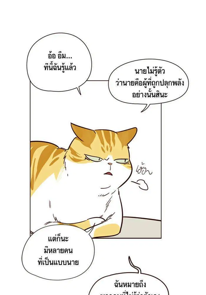 หน้า 32 จาก 100