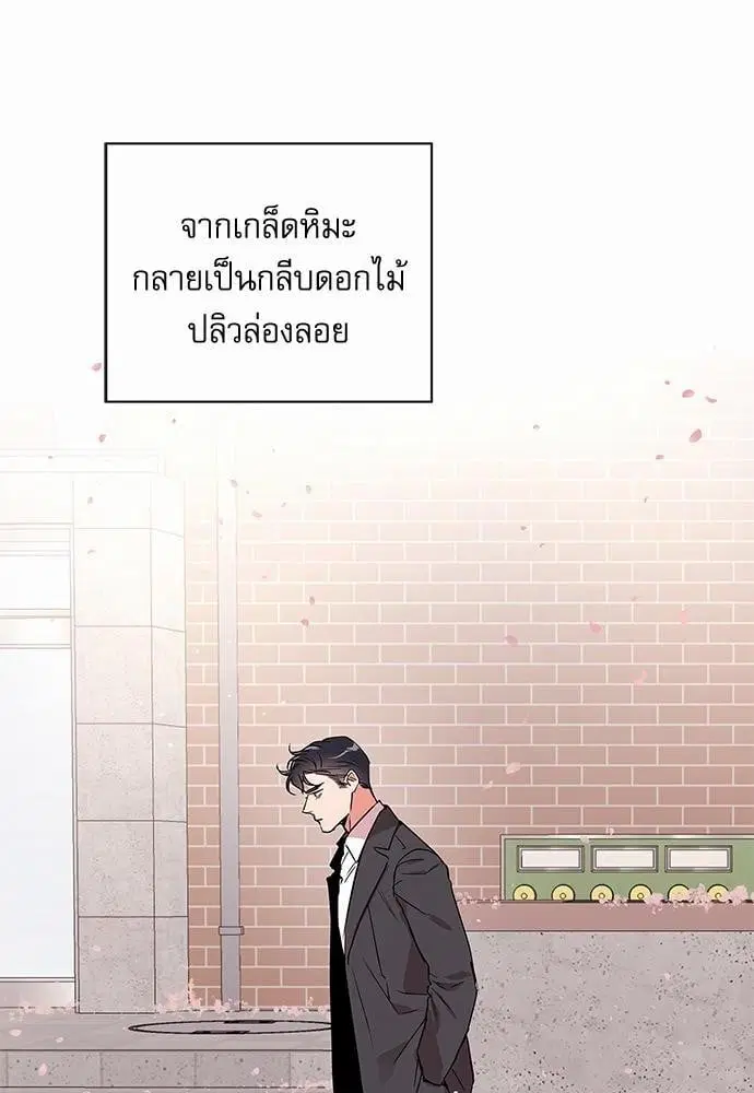 หน้า 26 จาก 82