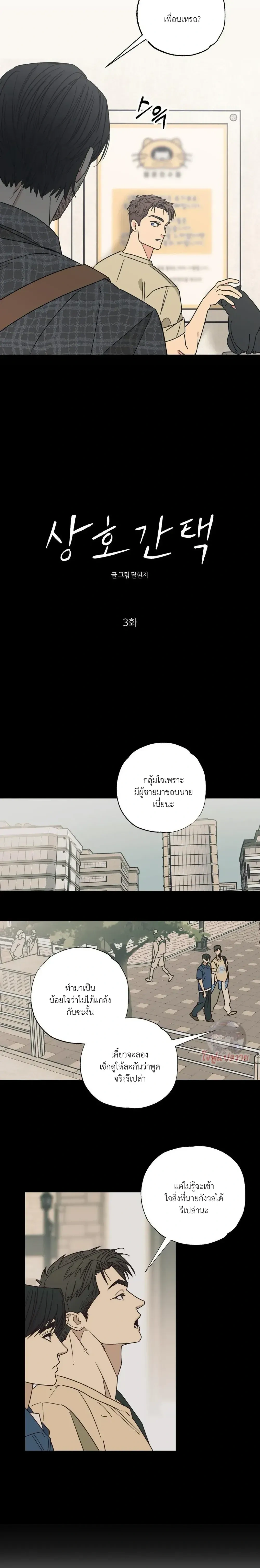 หน้า 3 จาก 19