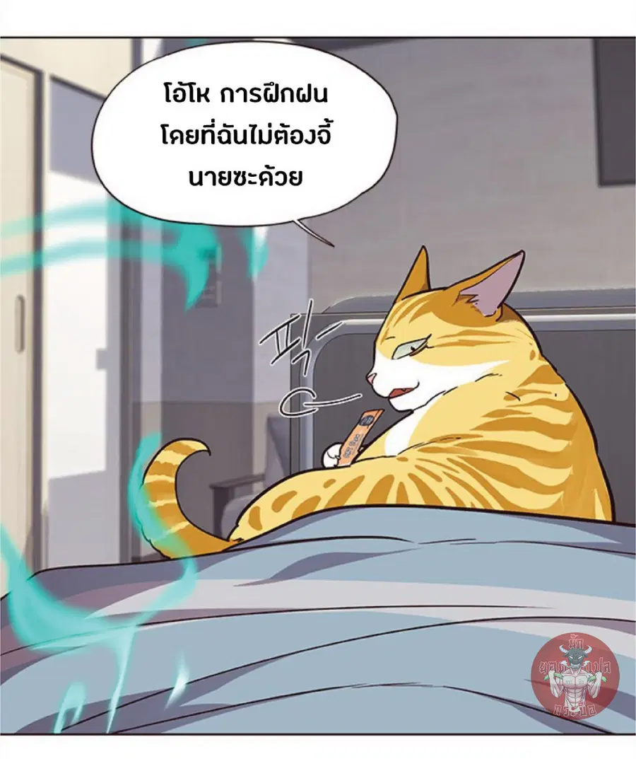 หน้า 21 จาก 96