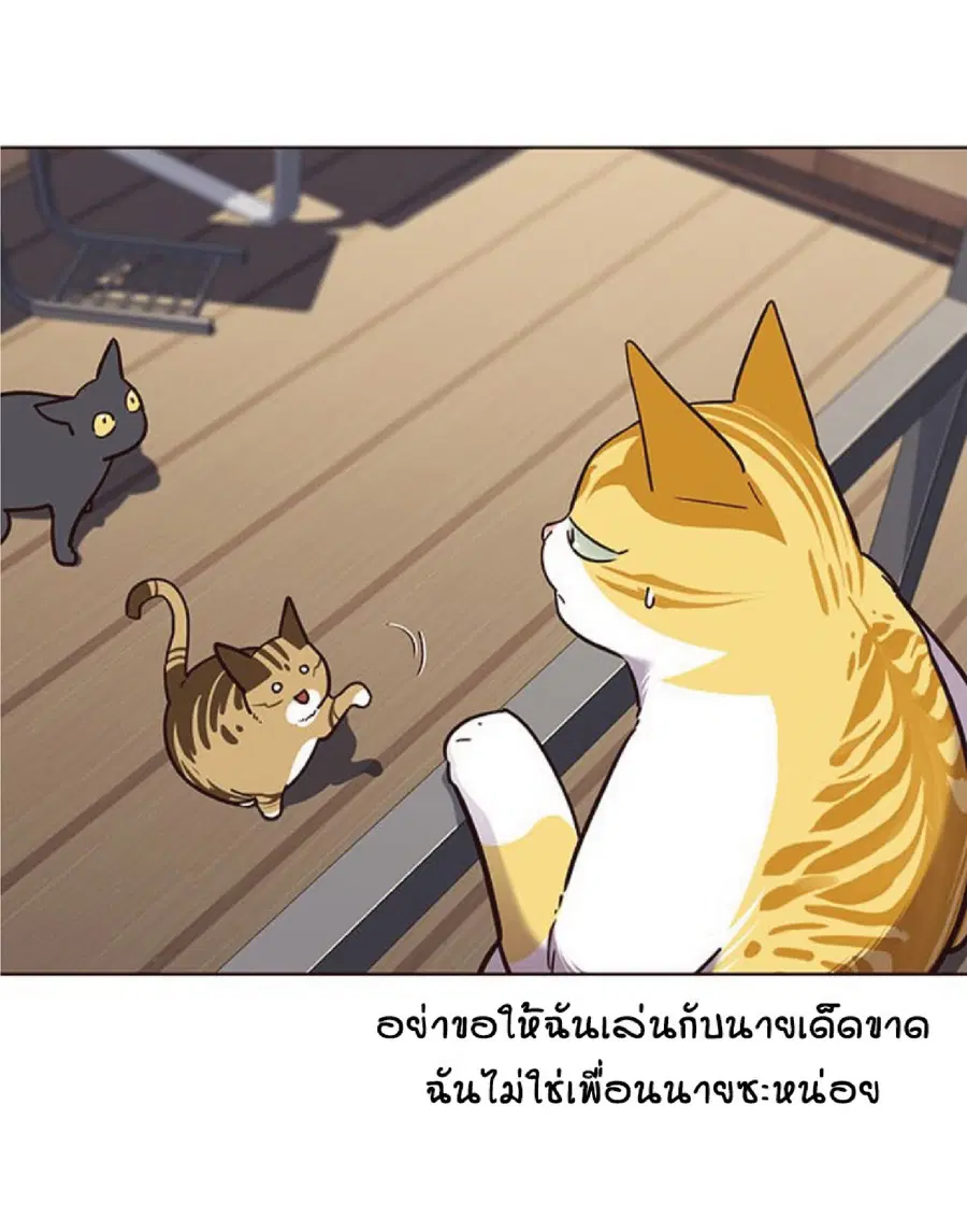 หน้า 23 จาก 80