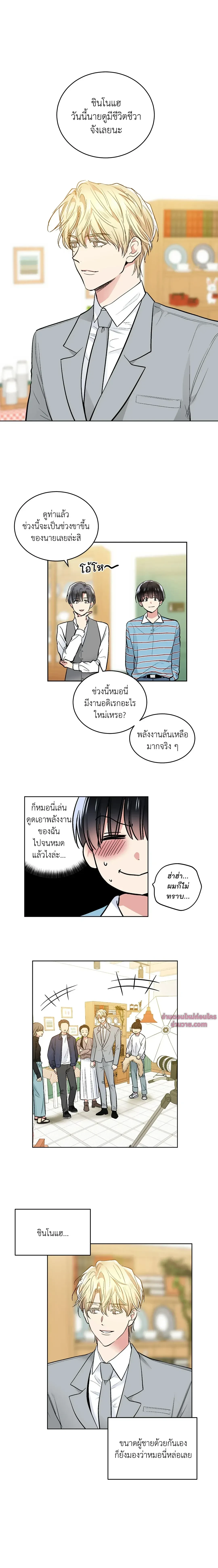 หน้า 3 จาก 15