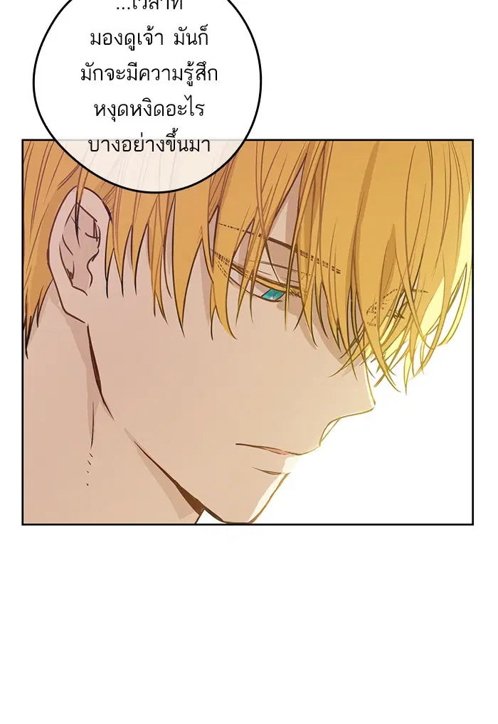 หน้า 71 จาก 88