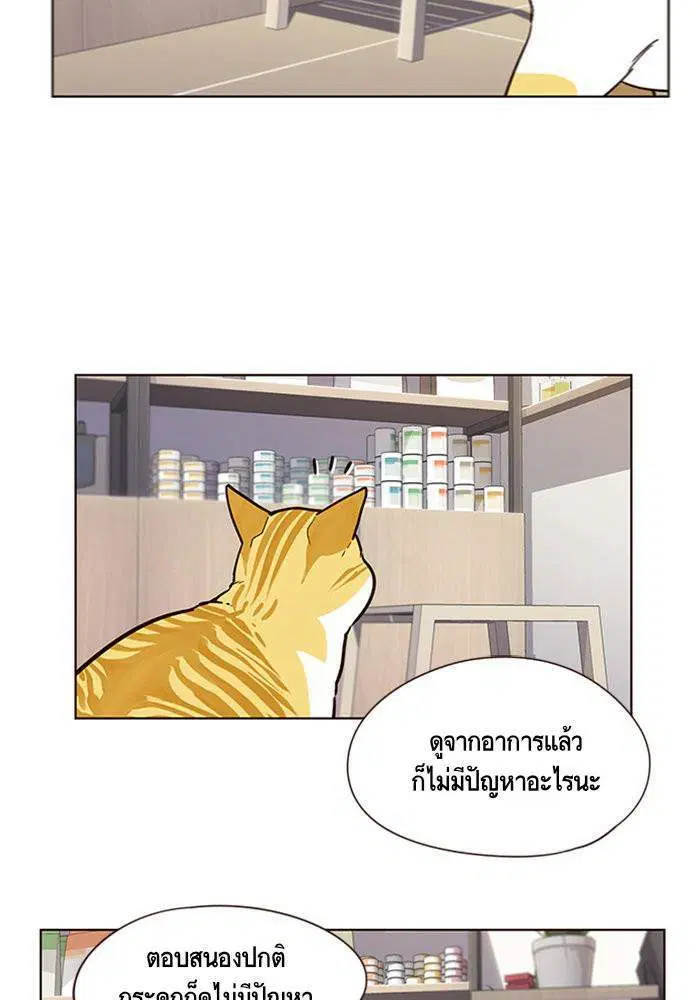 หน้า 57 จาก 81