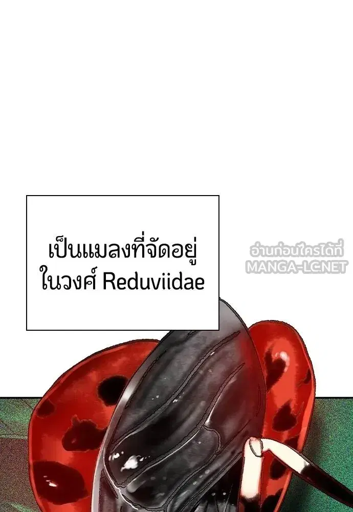 หน้า 178 จาก 215