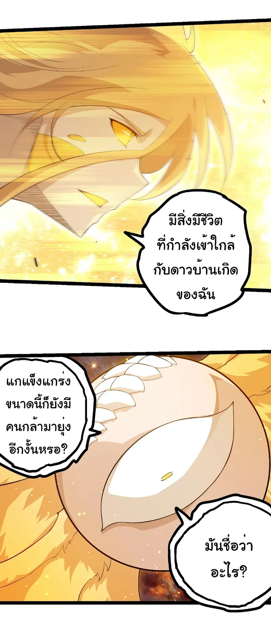 หน้า 26 จาก 26