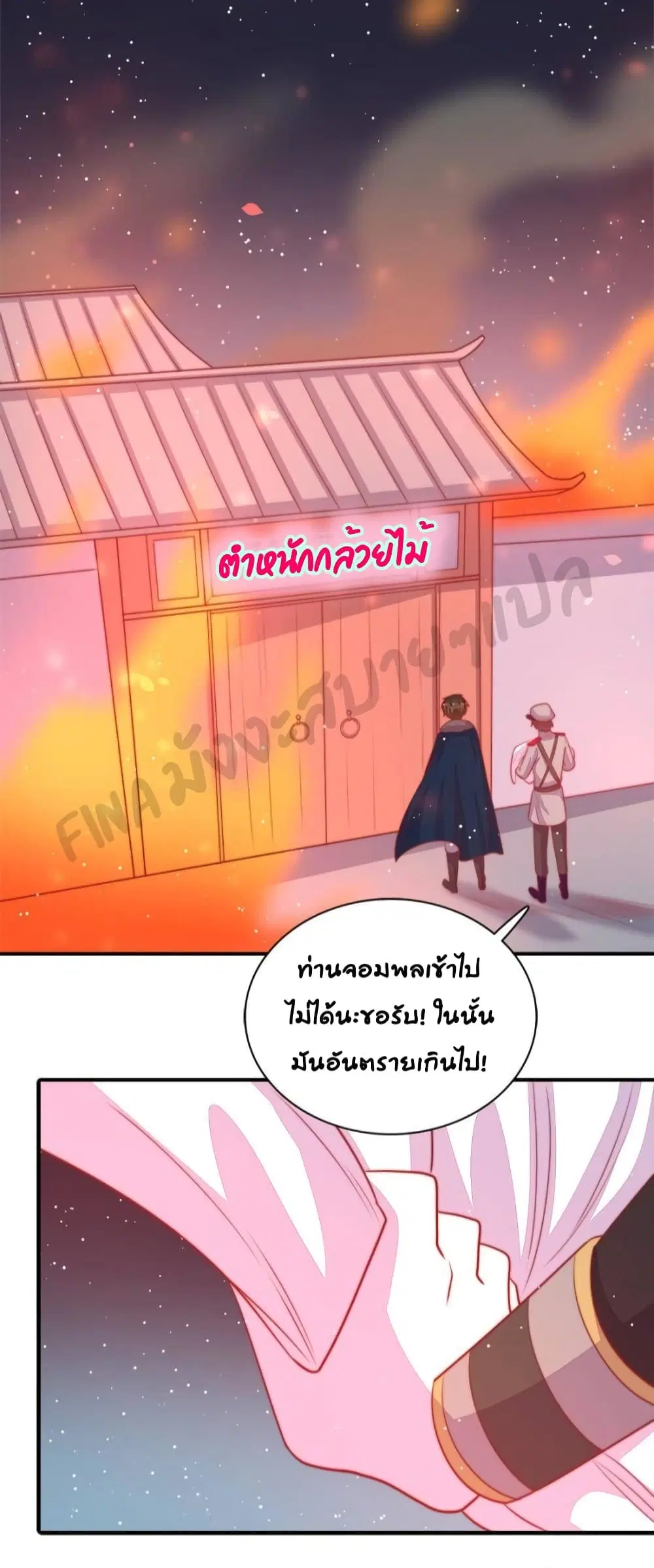 หน้า 21 จาก 31