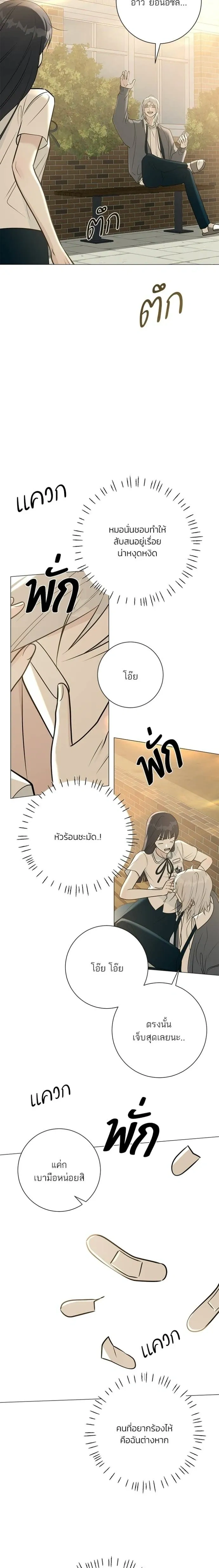หน้า 20 จาก 29