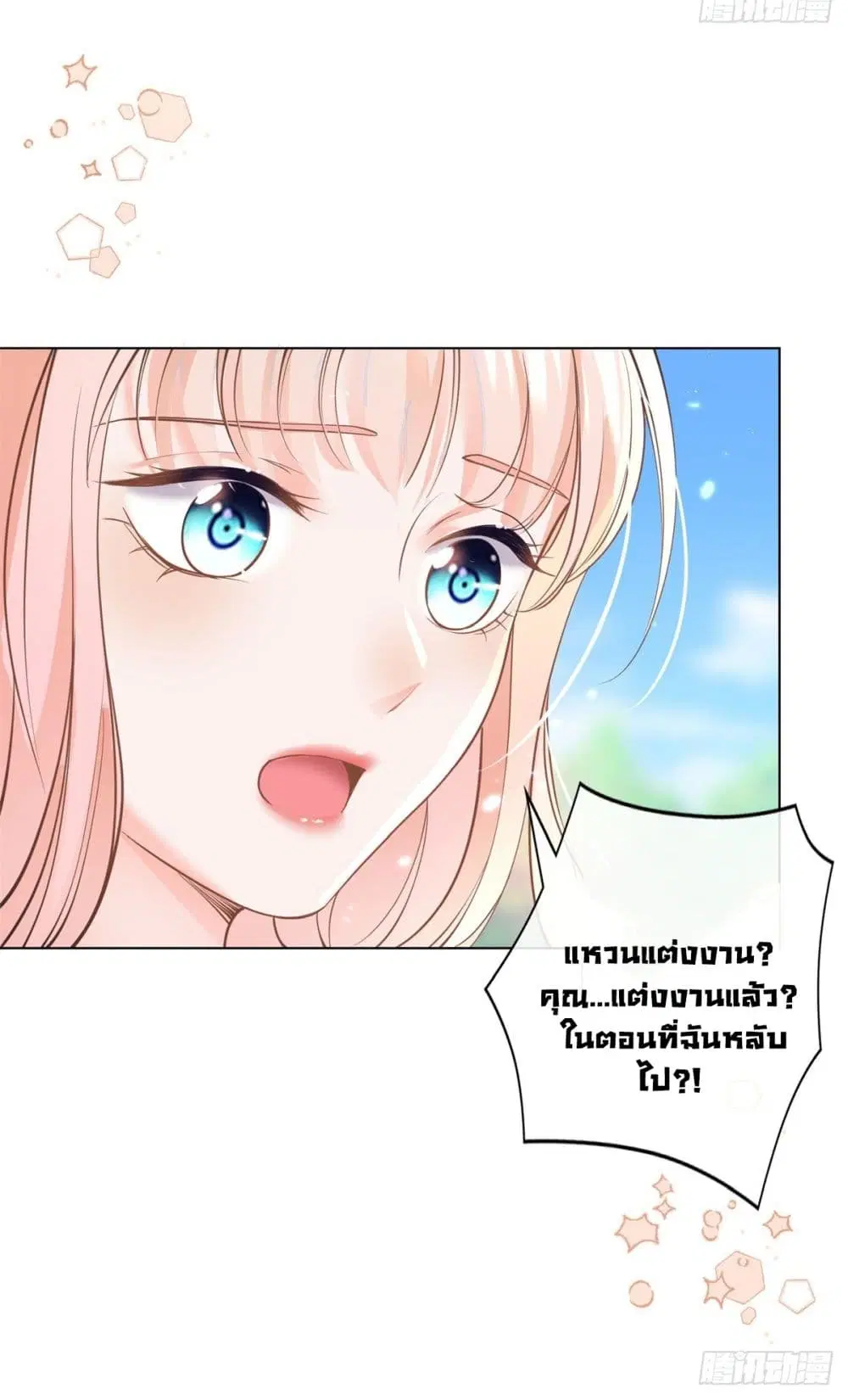 หน้า 13 จาก 42