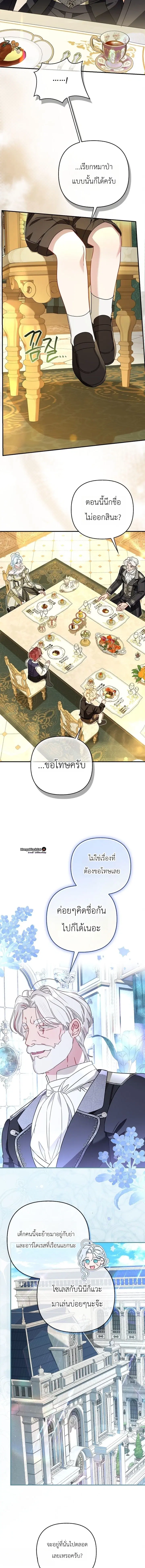หน้า 8 จาก 13
