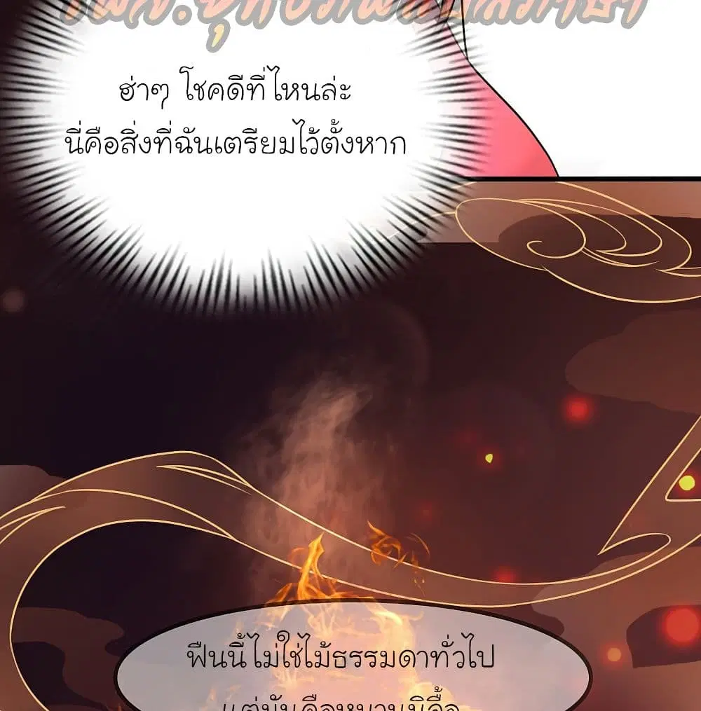 หน้า 8 จาก 41