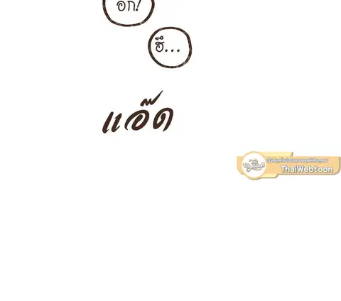 หน้า 28 จาก 41