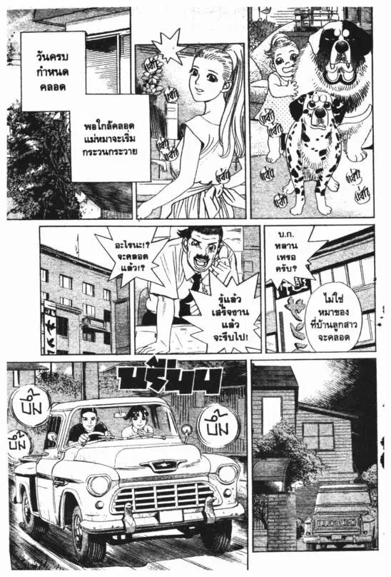 หน้า 8 จาก 14