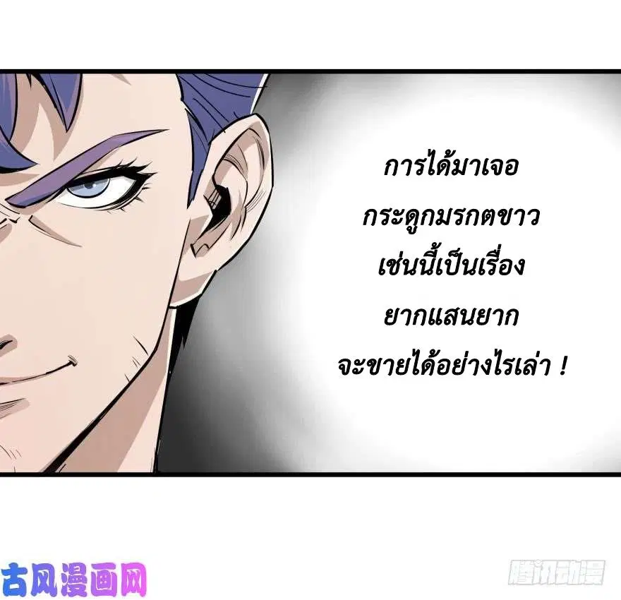 หน้า 23 จาก 73