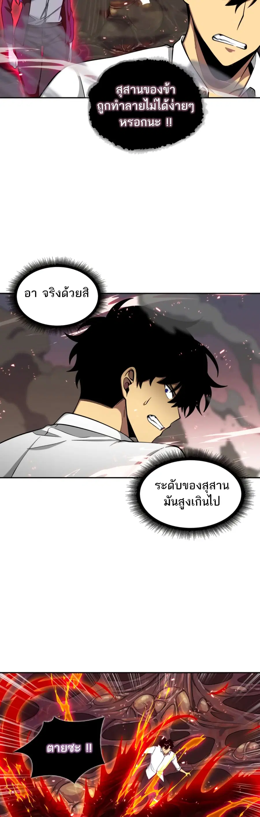 หน้า 11 จาก 51