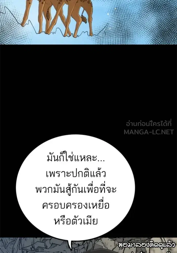 หน้า 38 จาก 136