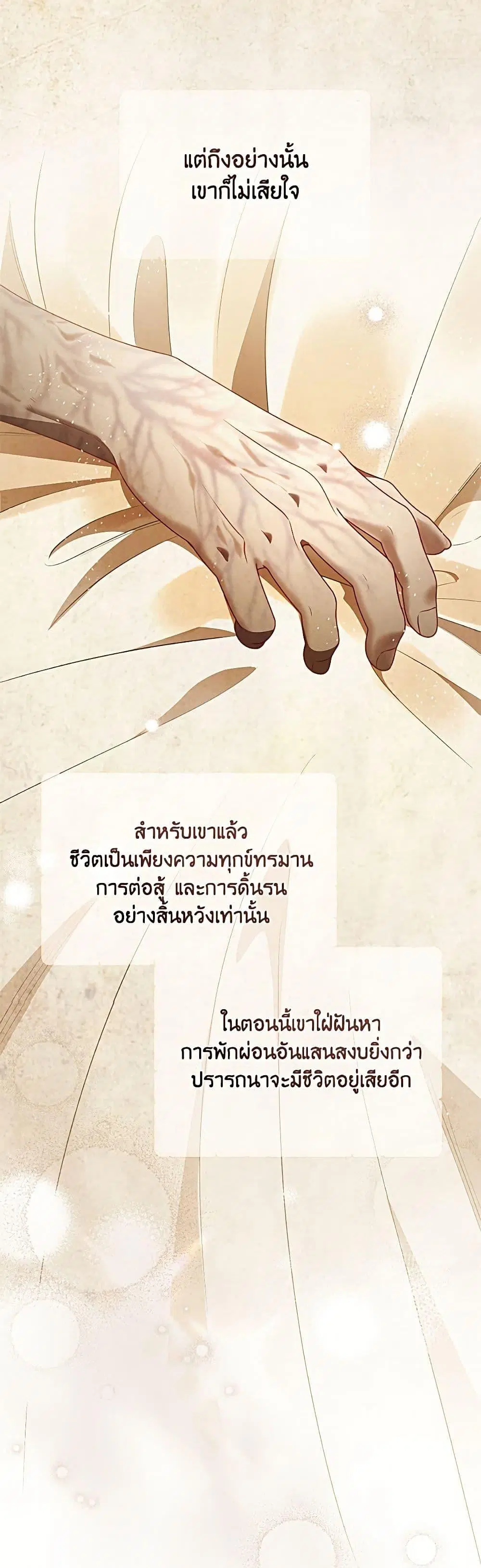 หน้า 5 จาก 52