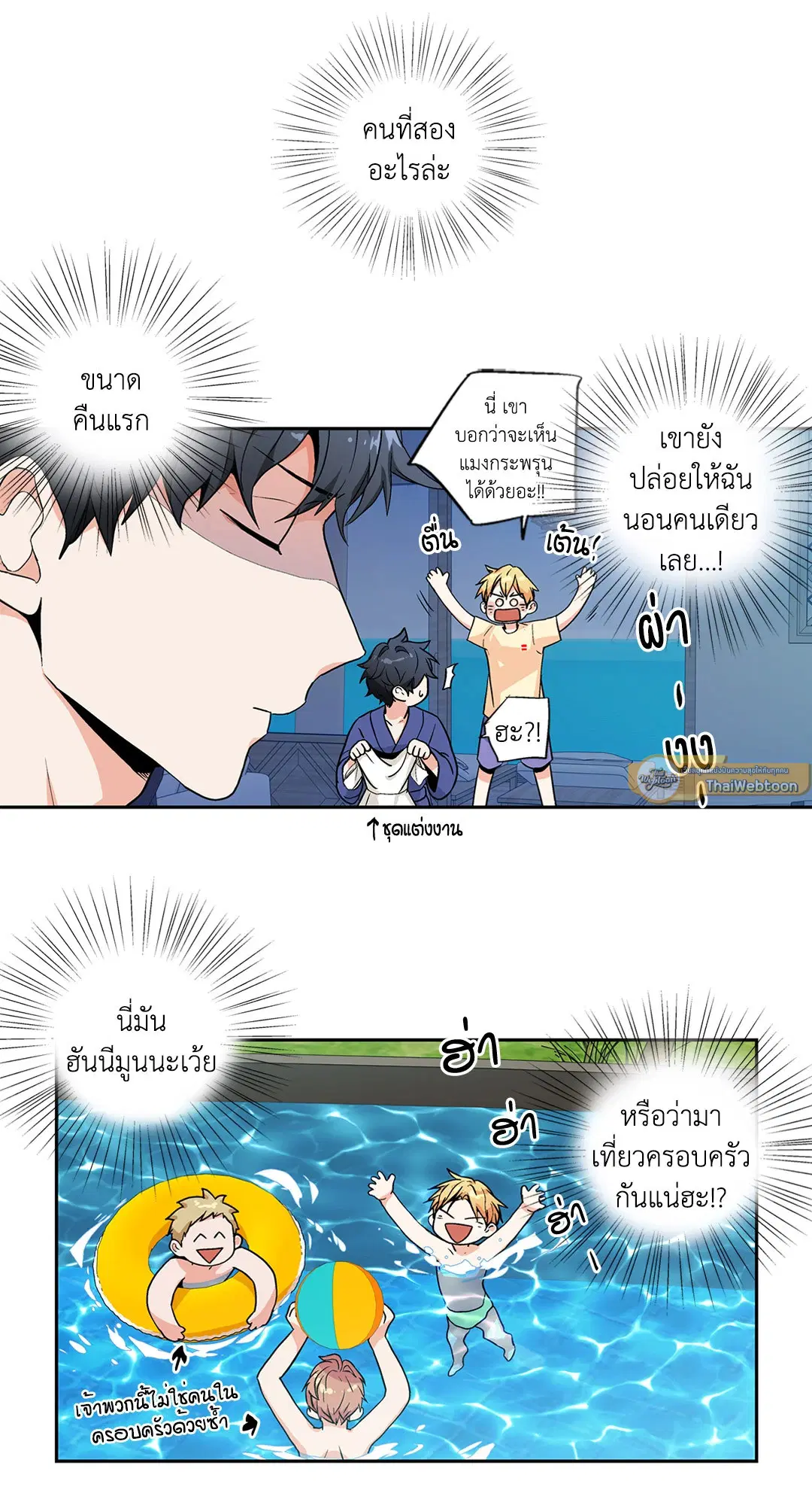 หน้า 13 จาก 43