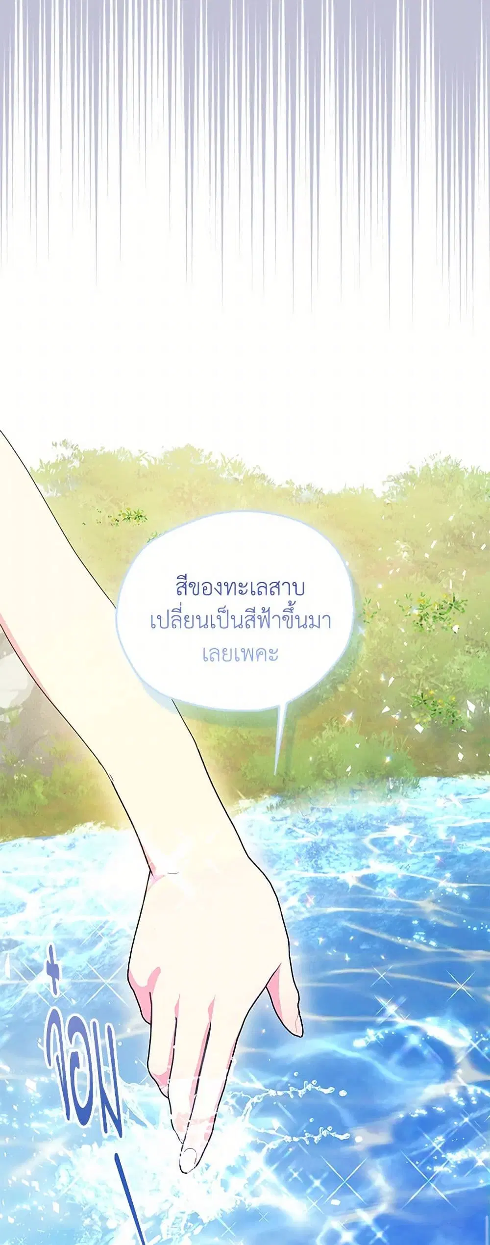 หน้า 24 จาก 42