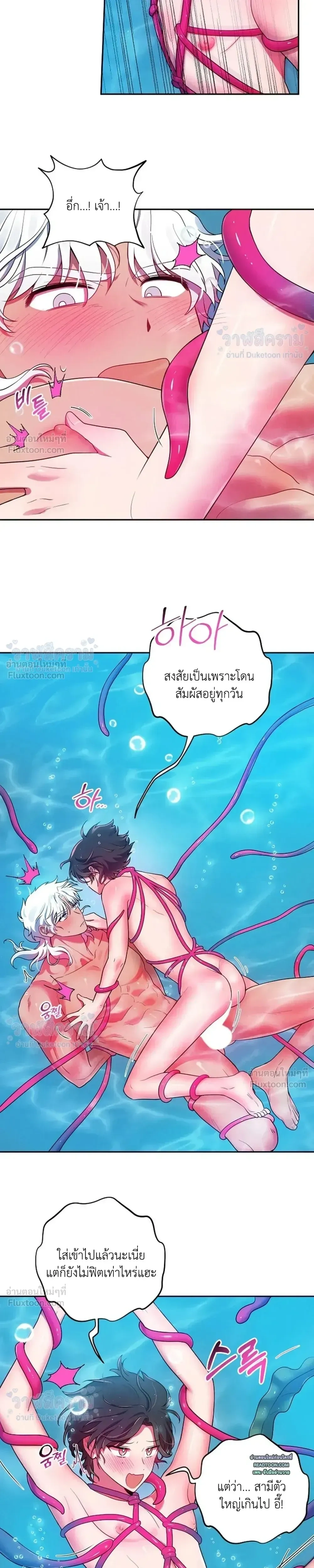 หน้า 7 จาก 24