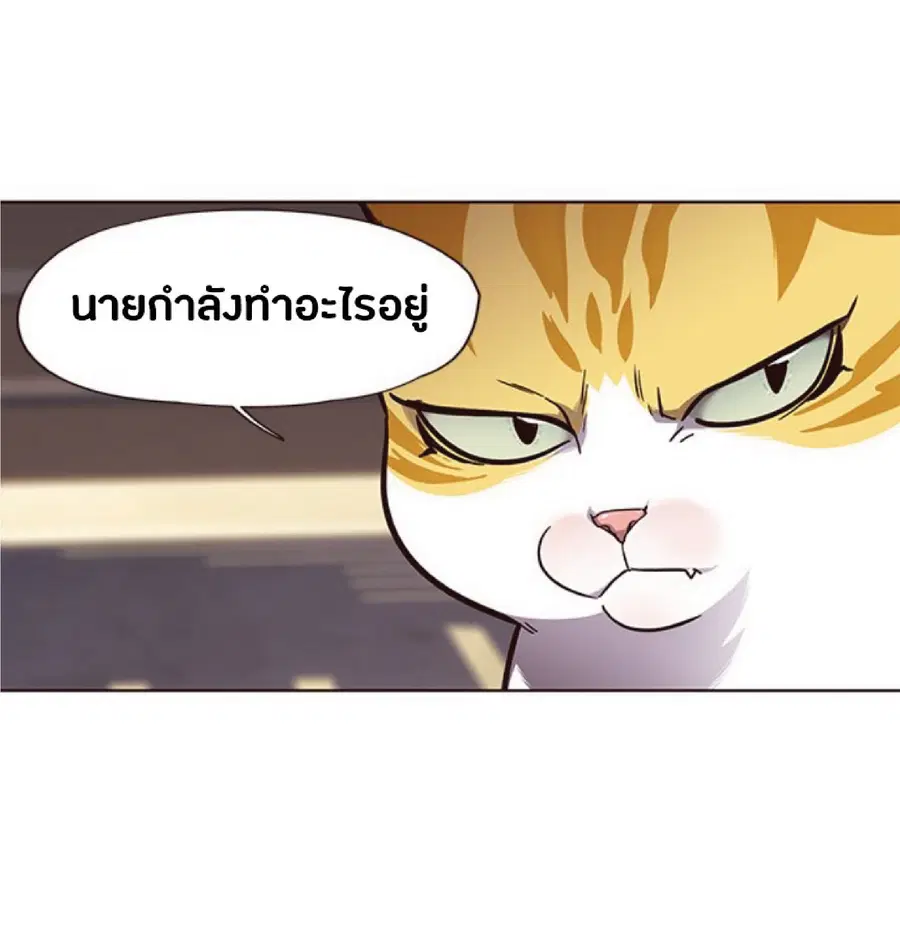หน้า 22 จาก 80