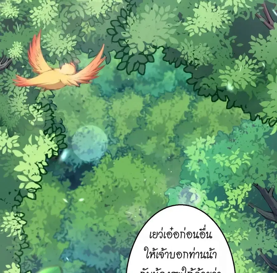 หน้า 50 จาก 77