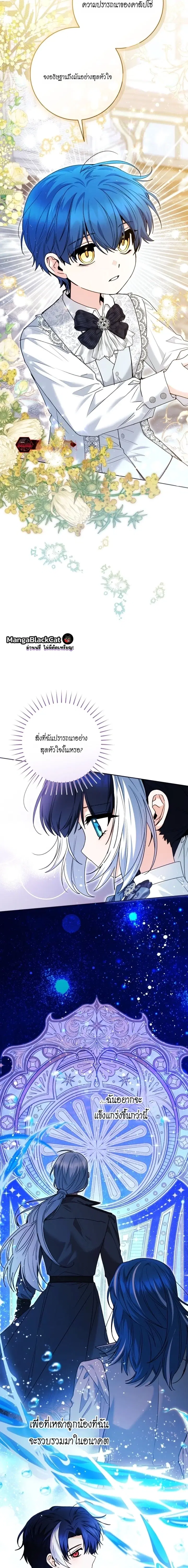 หน้า 8 จาก 17