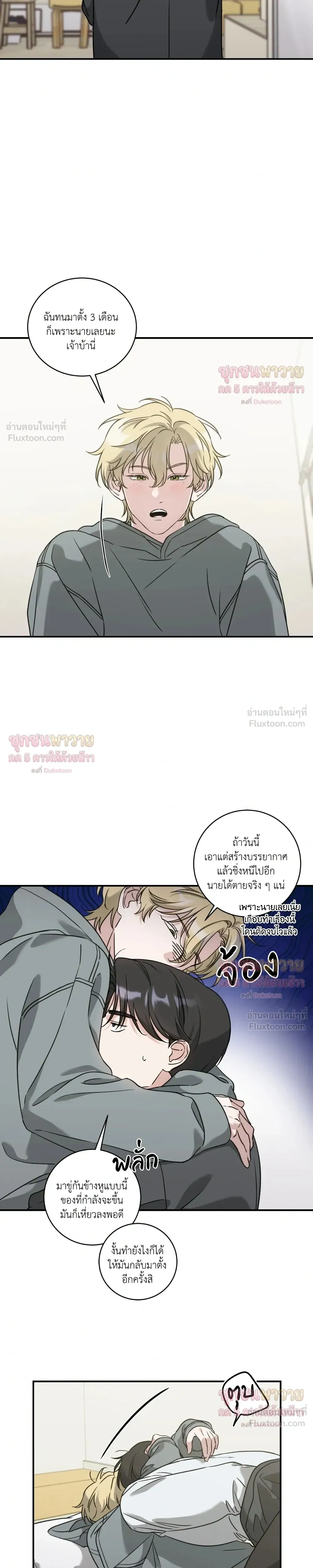 หน้า 13 จาก 17