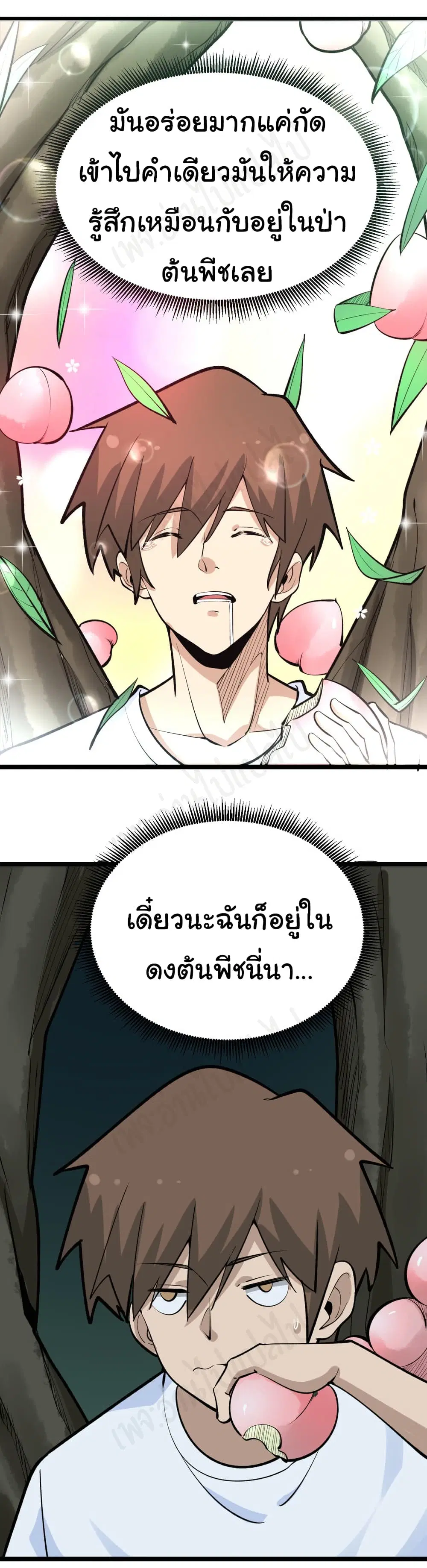 หน้า 13 จาก 32