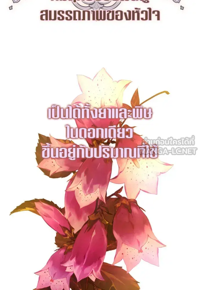 หน้า 75 จาก 146