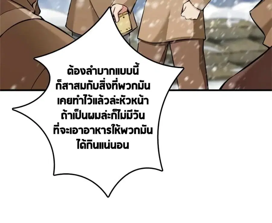 หน้า 11 จาก 42
