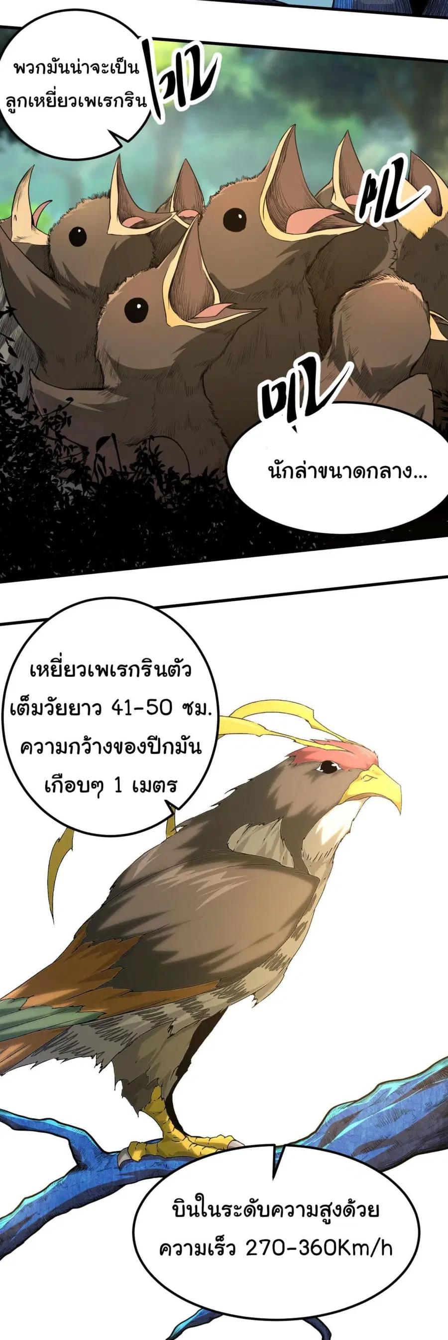 หน้า 5 จาก 40