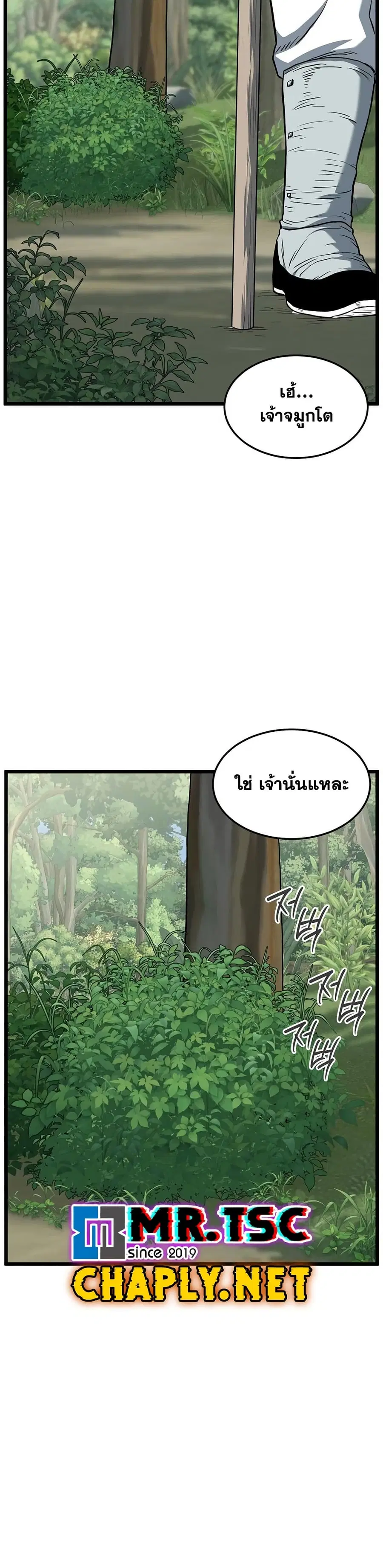 หน้า 22 จาก 50