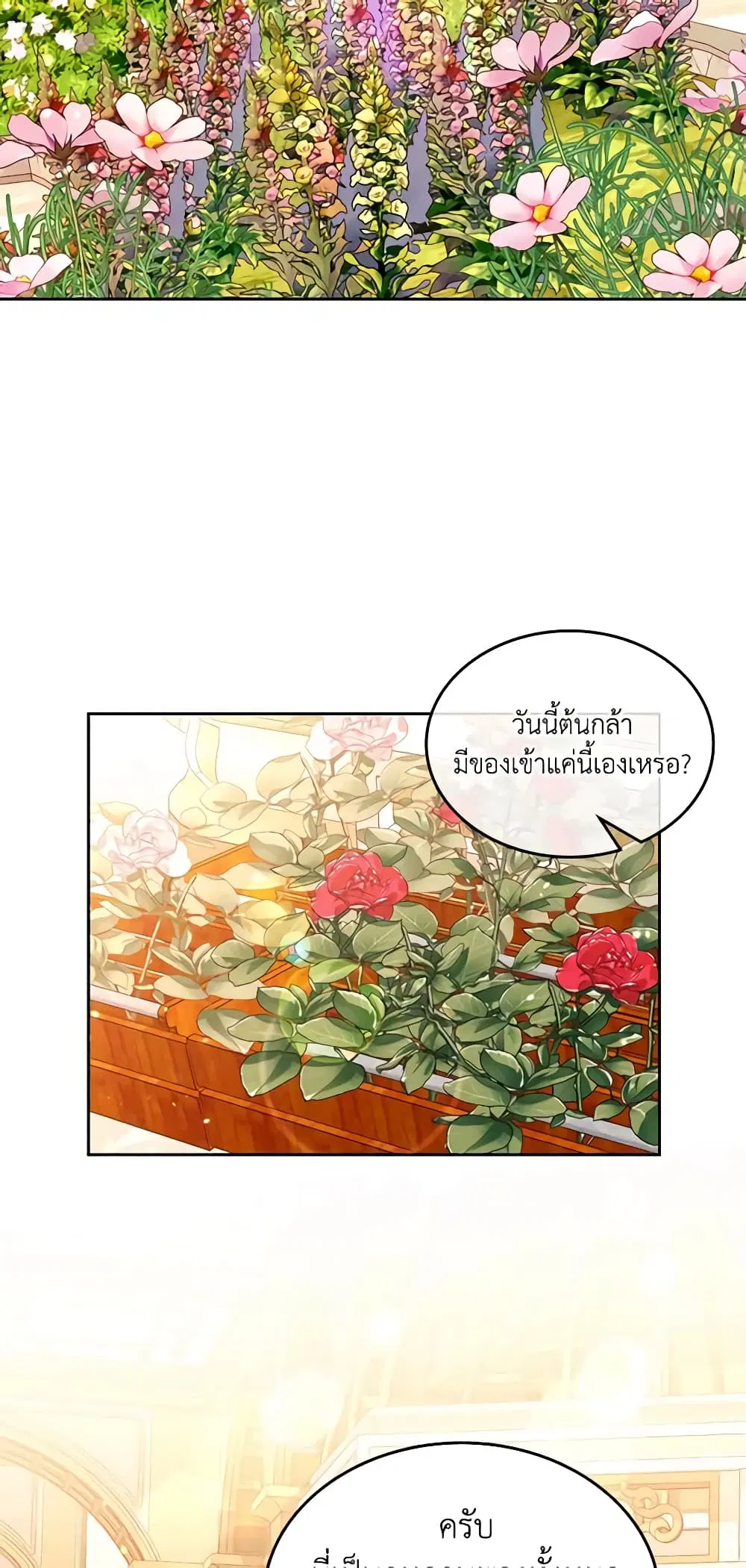 หน้า 3 จาก 40