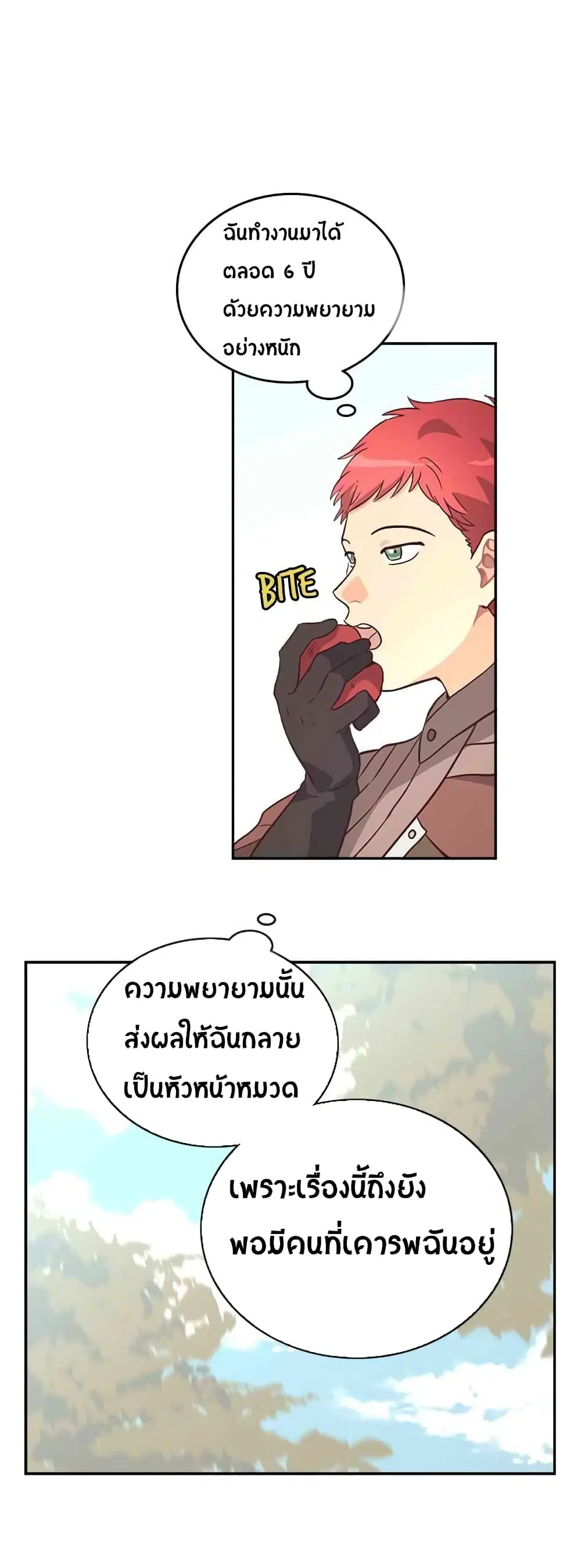 หน้า 26 จาก 81