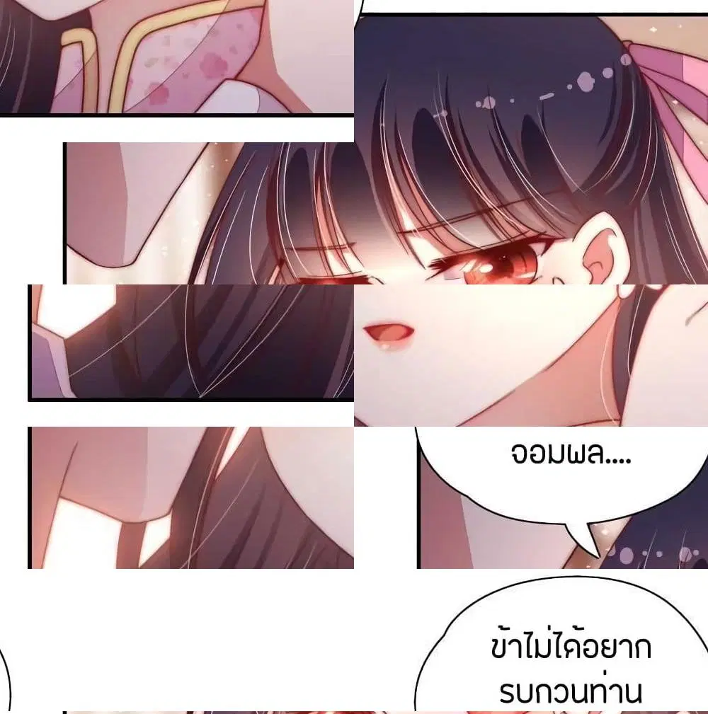 หน้า 13 จาก 14