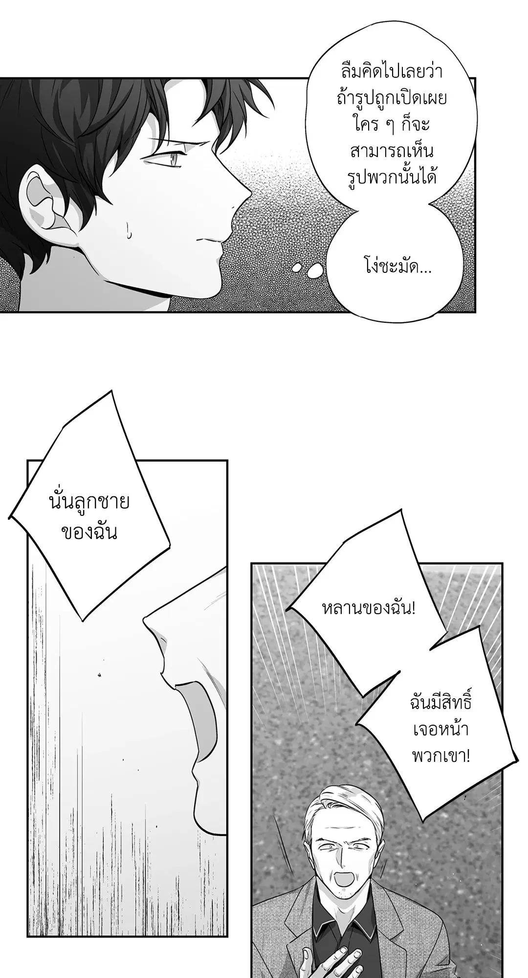 หน้า 13 จาก 52