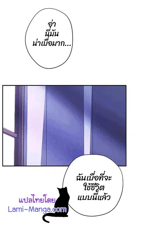 หน้า 38 จาก 108