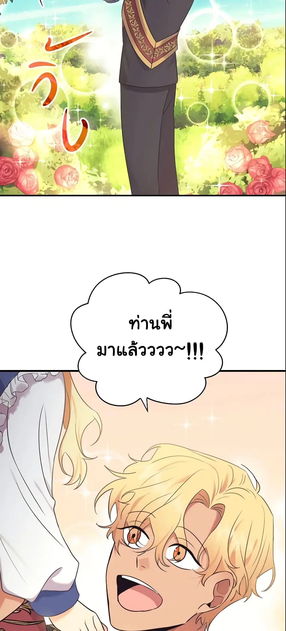 หน้า 24 จาก 52