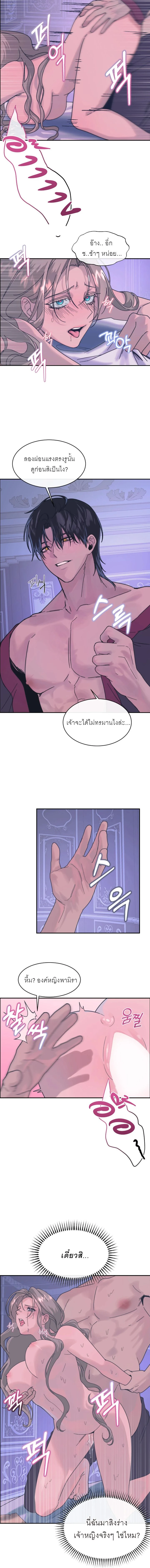 หน้า 5 จาก 17