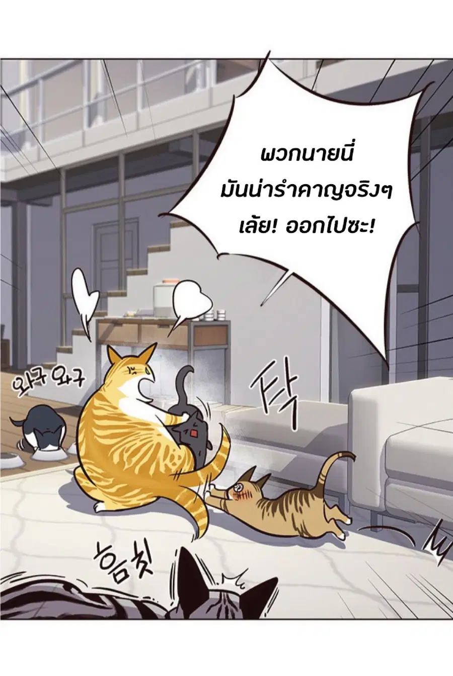 หน้า 51 จาก 94