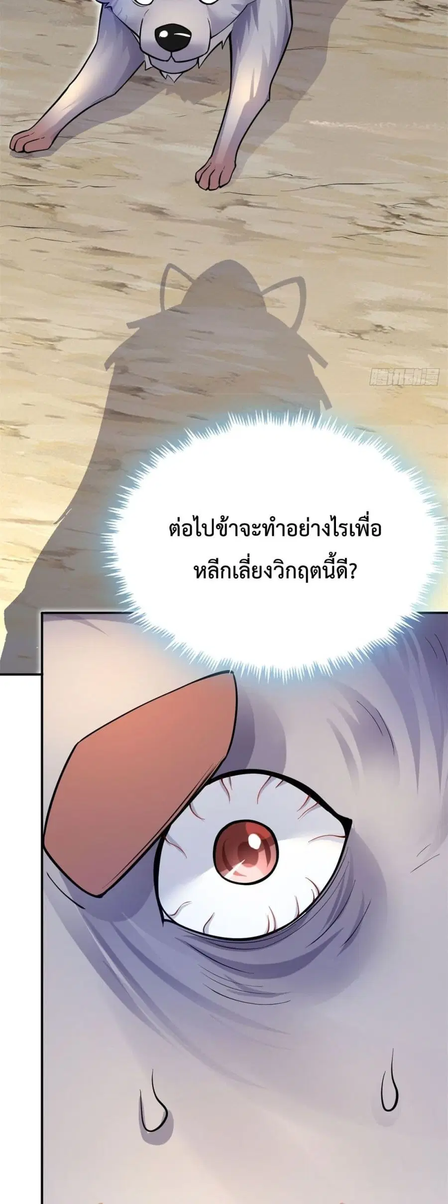 หน้า 7 จาก 22