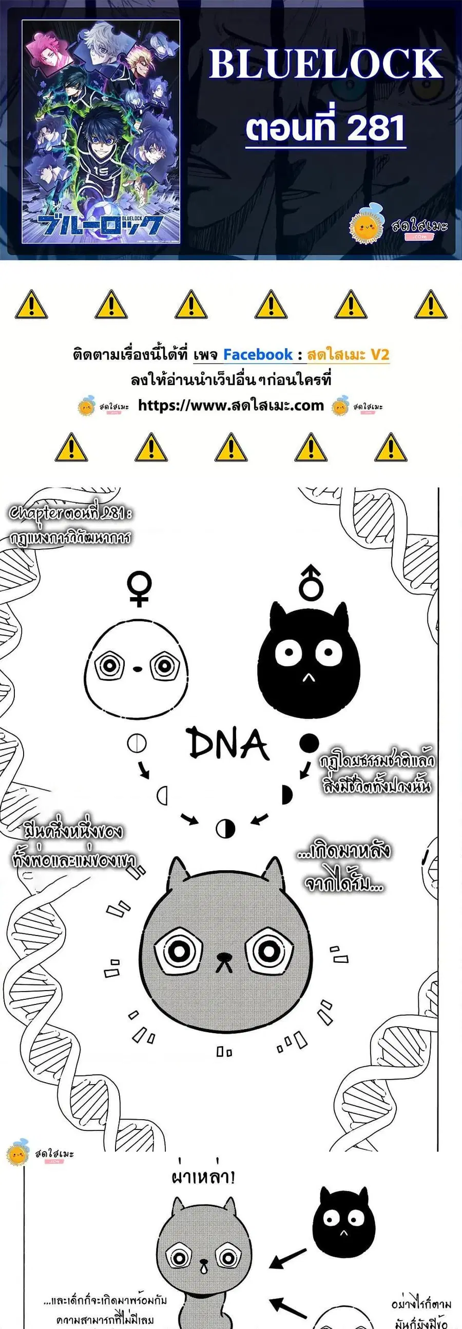 หน้า 1 จาก 10