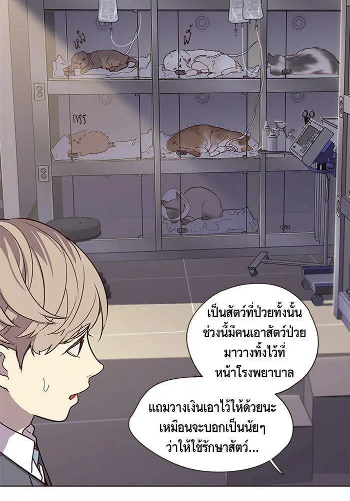 หน้า 61 จาก 81